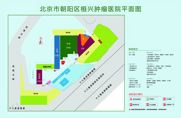 大鸡吧插入骚逼视频北京市朝阳区桓兴肿瘤医院平面图